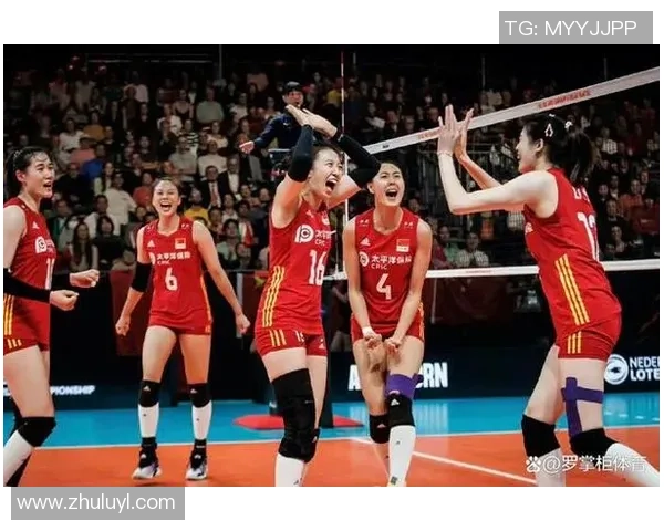 上海排球队的默契配合与战术分析探讨